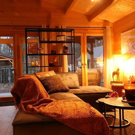 Vakantiehuis Luxe Houten Wellness Boshuisje Met Sauna Meijel