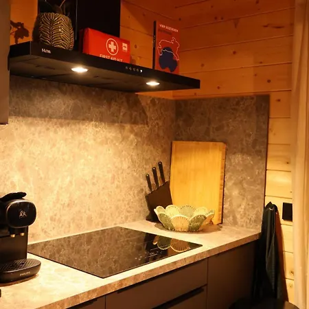 Luxe Houten Wellness Boshuisje Met Sauna Vakantiehuis Meijel