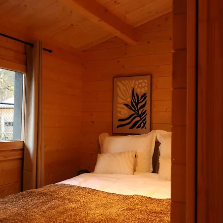 Vakantiehuis Luxe Houten Wellness Boshuisje Met Sauna Meijel