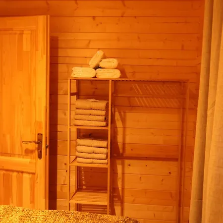Vakantiehuis Luxe Houten Wellness Boshuisje Met Sauna Meijel