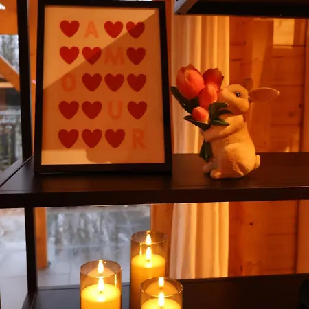 Luxe Houten Wellness Boshuisje Met Sauna