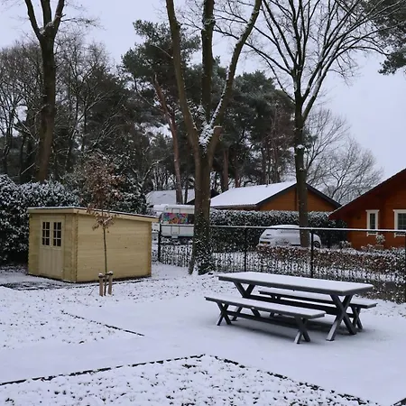 Vakantiehuis Luxe Houten Wellness Boshuisje Met Sauna